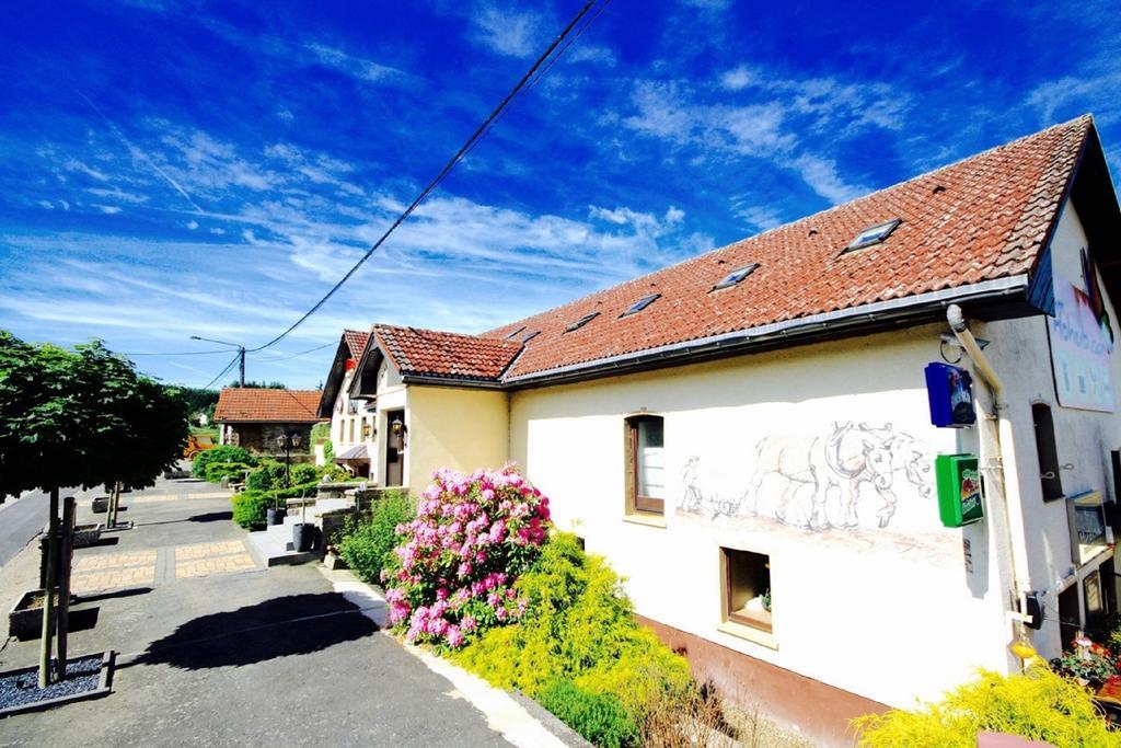 Appartement Am Hohenbusch Burg Reuland Εξωτερικό φωτογραφία